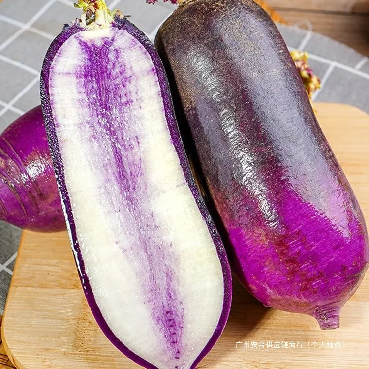 山东潍坊新鲜现拔冰淇淋萝卜甜脆多汁冰糖心水果萝卜胭脂紫冰糖心