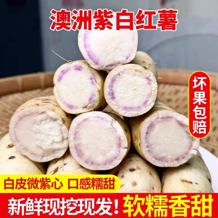 冰淇淋红薯白皮白心红薯粉糯香甜白心板栗薯当季粗粮美食