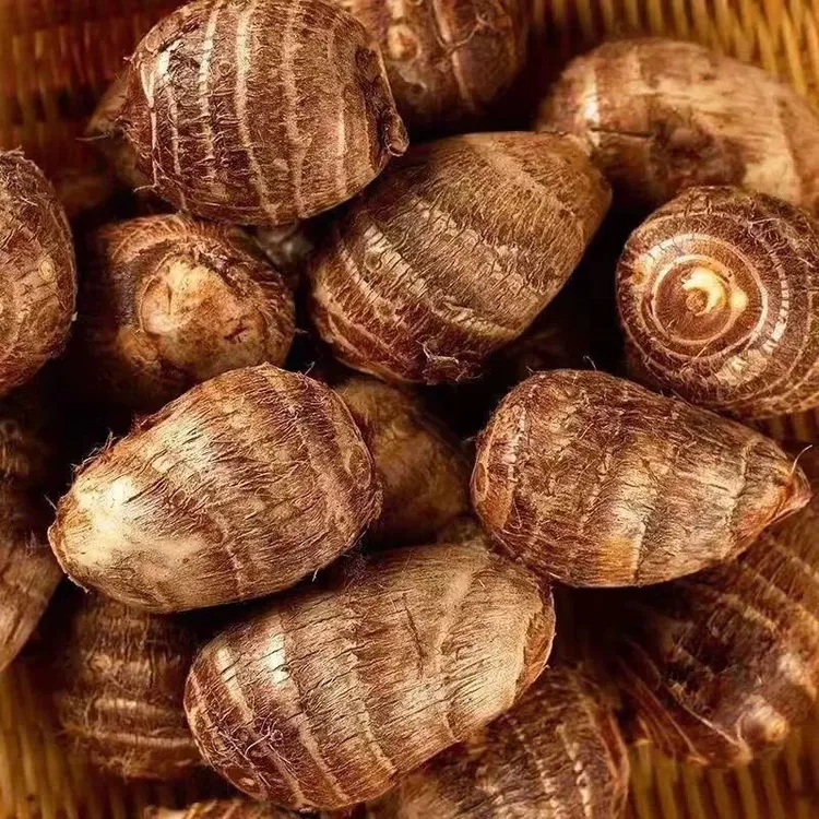 新鲜芋头湖北本地农家自种芋头毛芋现挖粉糯芋头