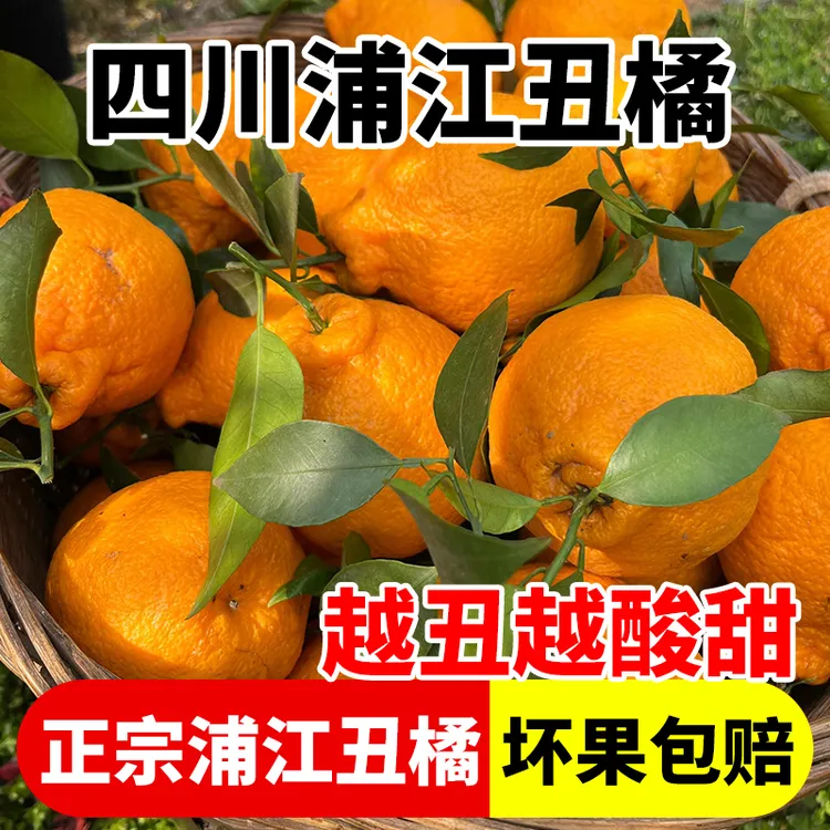 四川蒲江眉山不知火丑橘酸甜脆嫩特新鲜橘子维c水果柑橘应季水果