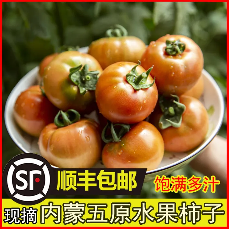 （顺丰包邮）内蒙古五原县水果西红柿新鲜现摘现发