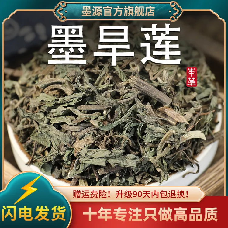 旱莲草中药材墨旱莲新鲜早旱连草非野生粉的搭何首乌女贞子和桑叶