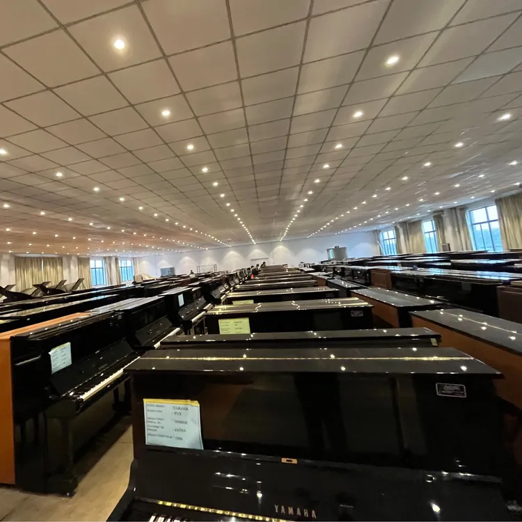 格格秀钢琴兴趣服务1个月