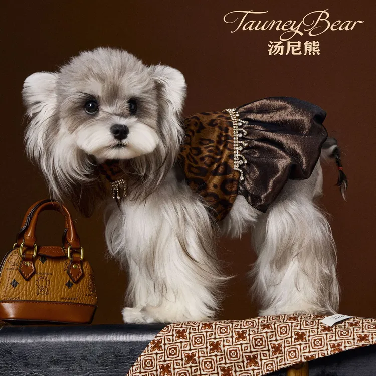 汤尼熊母狗狗衣服秋装豹纹连衣裙泰迪雪纳瑞比熊女约克夏项链裙子