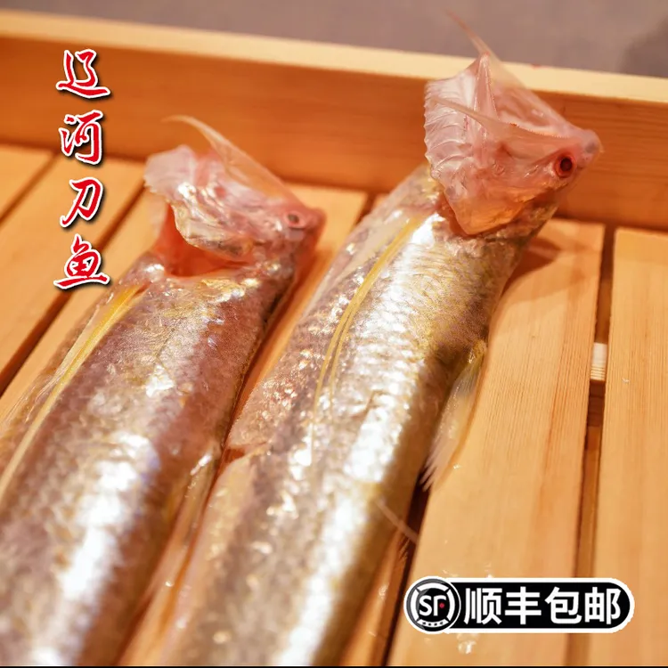 盘锦特产辽河刀鱼新鲜冷冻 海刀鱼带鱼3斤礼盒装春节礼品顺丰包邮