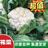 【老式花菜】农家露天种植应季花菜现砍现发新鲜采摘
