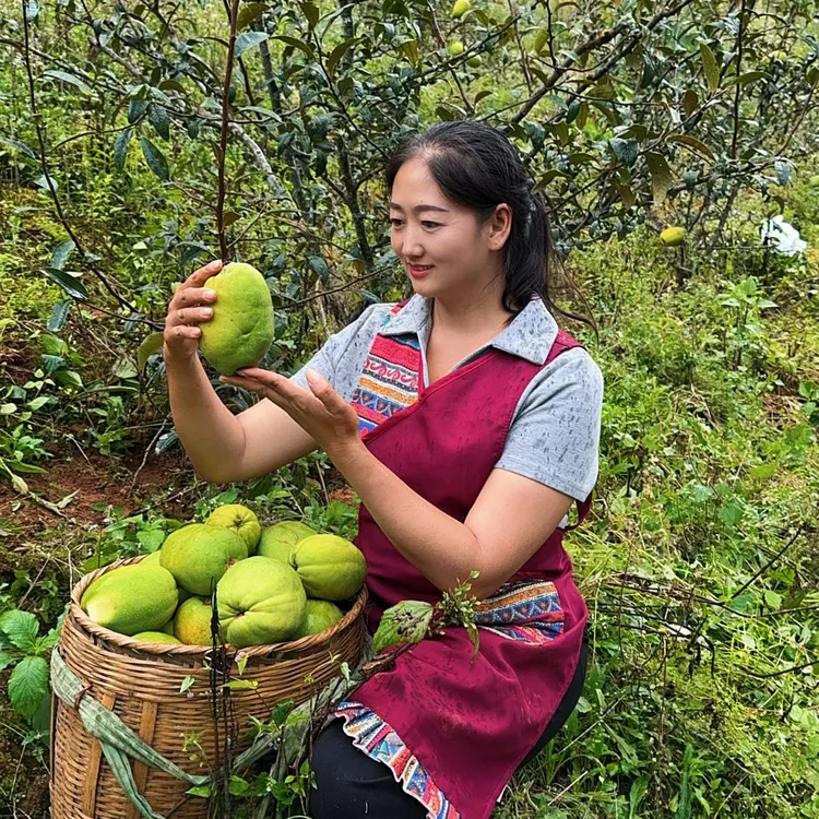 云南新鲜酸木瓜可生吃泡酒炖鸡的特色水果