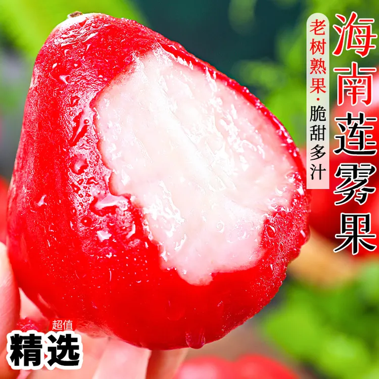 海南莲雾果新鲜水果红宝石当季连雾黑金刚莲雾中大果产地整箱包邮