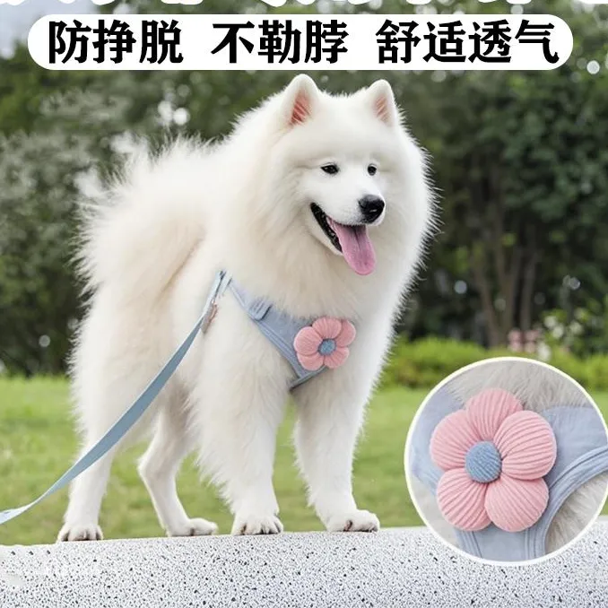 宠物小花背心牵引绳狗狗卡通立体配件遛狗绳子猫咪外出防挣脱GE