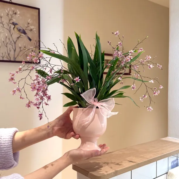 粉紫色梦香兰文心兰开花盆栽盆景室内客厅办公室桌面观花花卉绿植