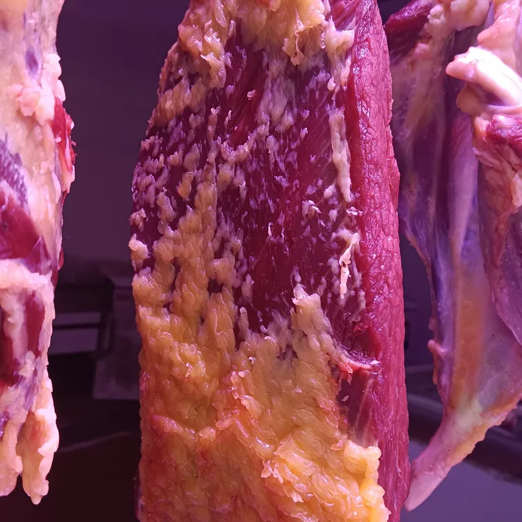 正宗清真黄牛肉牛腩肉
