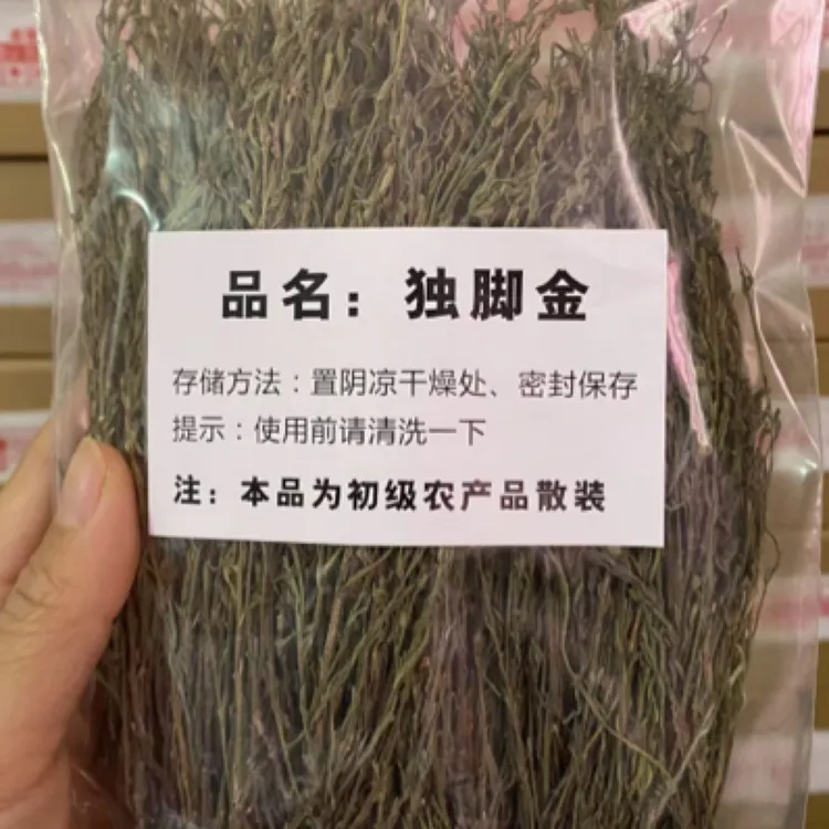 广西精选短金草养啤草