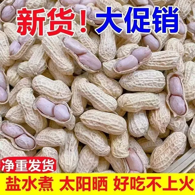 龙岩花生蒜香咸干五香盐水带壳炒货零食熟白晒湿烤水煮花生米