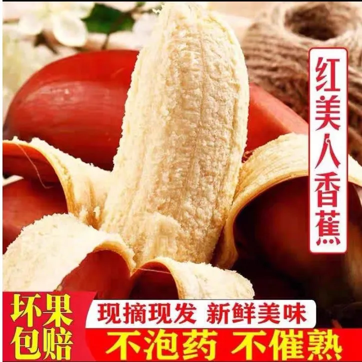 正宗海南红美人蕉稀有新鲜水果当季热卖