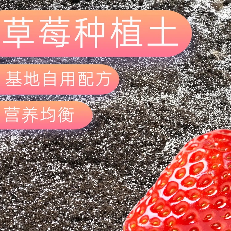 基地配方 草莓种植土营养土草莓基质分装