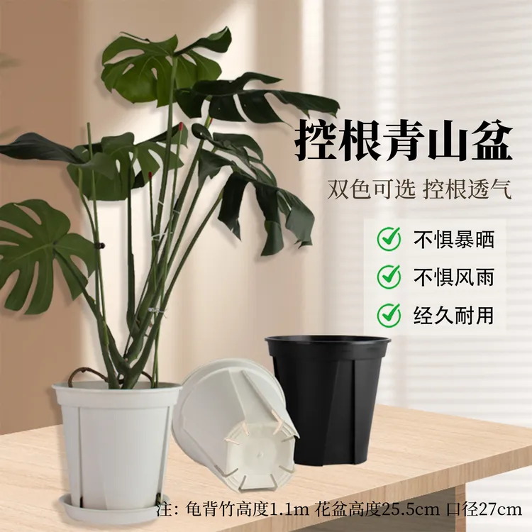 龟背竹花盆白色青山控根花盆透气防烂根塑料树脂加仑盆耐晒耐用