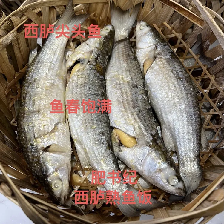 西胪乌尖头鱼 老草鱼各种鱼饭 结冻草鱼2-5斤潮汕鱼饭