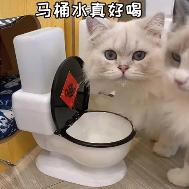 猫咪马桶自动喂水器大号猫碗搞笑网红水盆小型犬创意水碗宠物用品