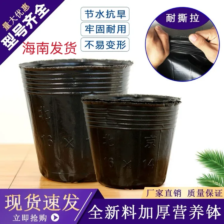 槟榔加厚营养育苗杯育苗袋营养袋营养杯黑色一次性育苗盆