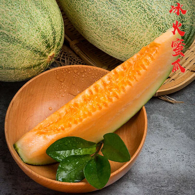 新疆吐鲁番哈密瓜西州蜜25号网纹蜜瓜甜瓜原产地直发顺丰
