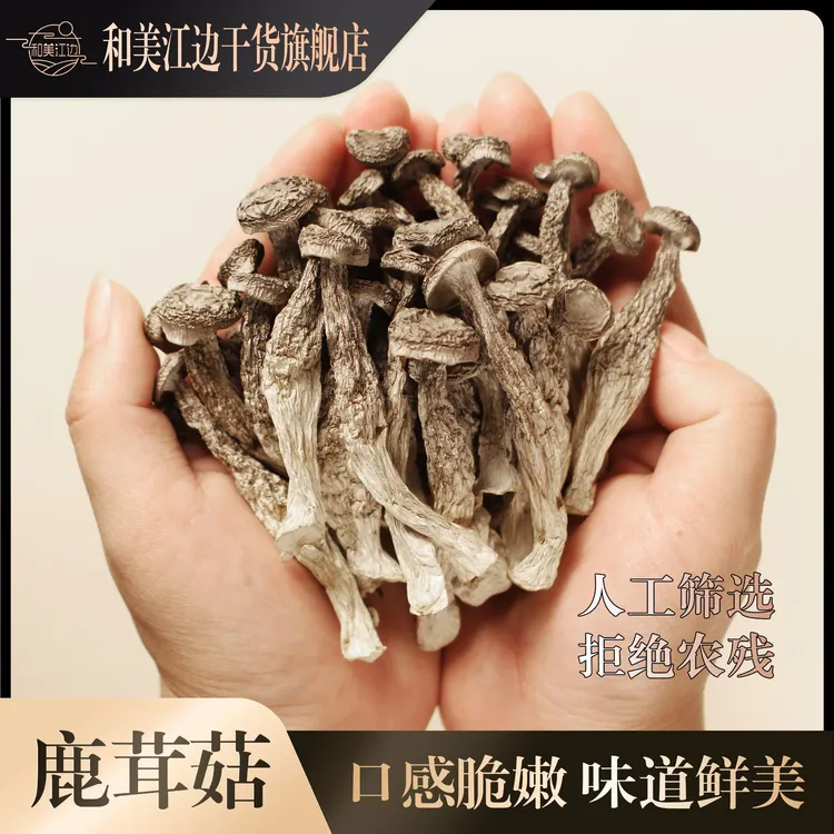【大表姐专属】小鹿茸菇高山嫩仔菇新货菌菇干货营养炒菜煲汤菇类干货