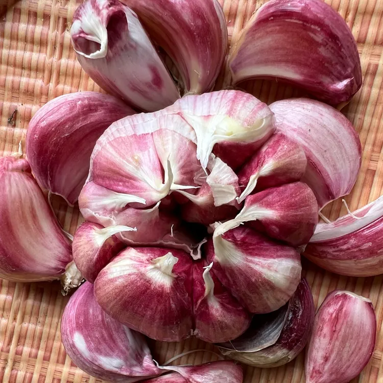 2025年新鲜贵州紫皮大蒜头嫩蒜蔬菜带泥干蒜