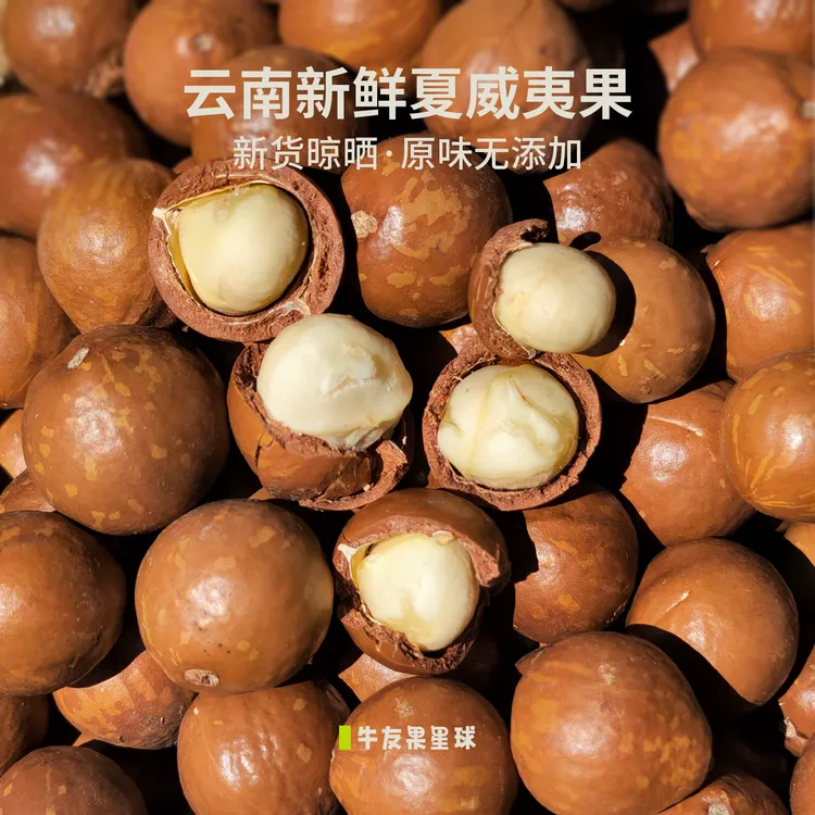 云南新鲜夏威夷果新货晾晒干货 原味无添加坚果休闲零食 可生吃