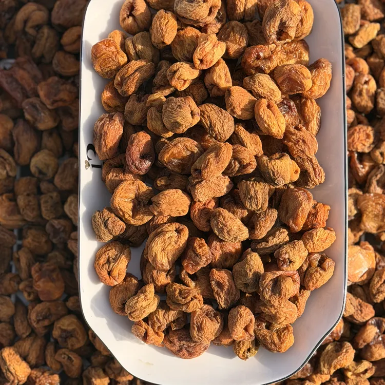 轮台无核杏干 （无核杏肉）酸甜 新疆特产原味天然无添加 散装包邮