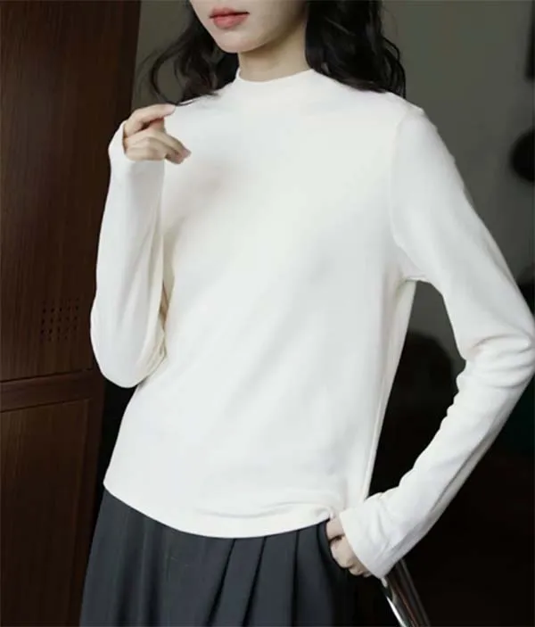 小众炸街高级感女装立领磨毛打底衫春秋冬季t恤内搭长袖德绒上衣