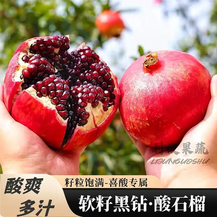 云南大理黑珍珠软籽酸石榴鸽血玛瑙黑籽酸甜半口孕妇水果泡酒顺丰
