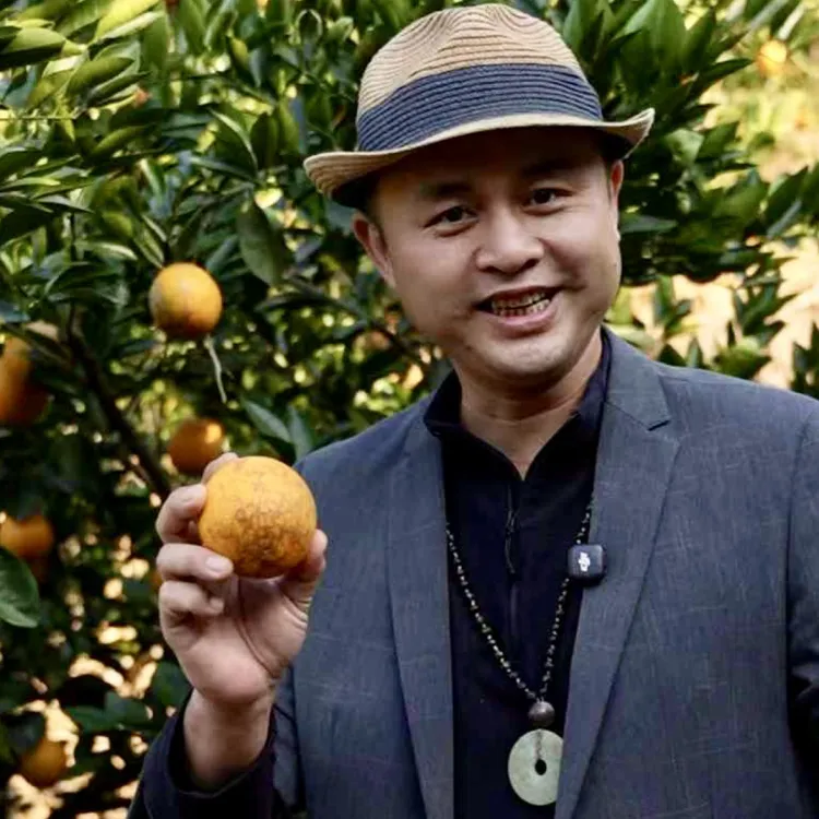 原生态血橙 “橙中贵族”富含花青素 秋冬润燥