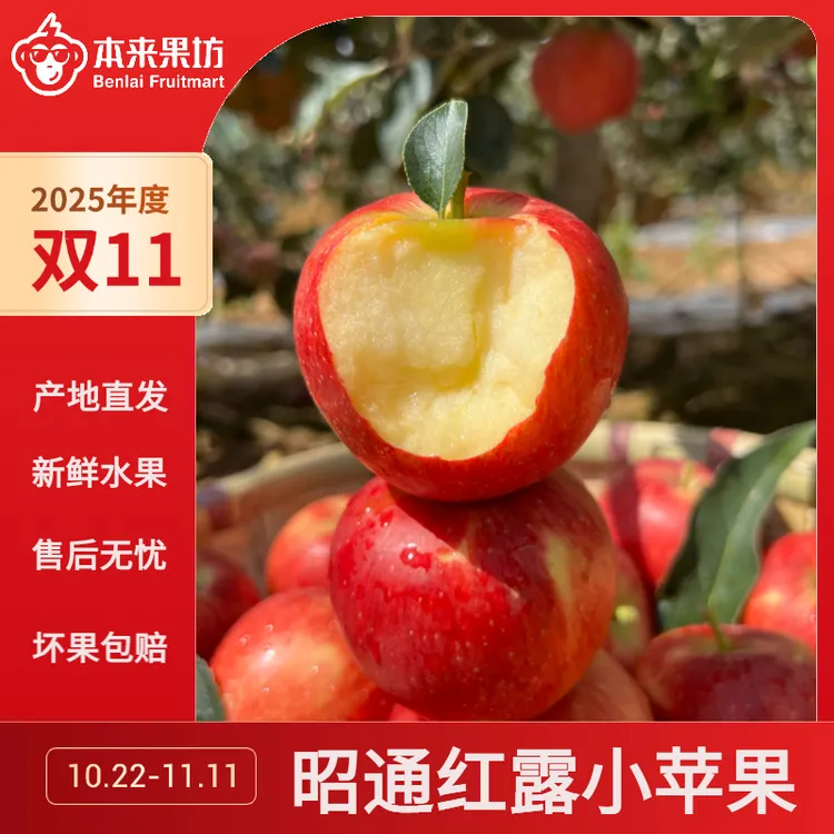 【本来果坊】云南昭通红露苹果 头茬小苹果 新鲜水果 产地直发