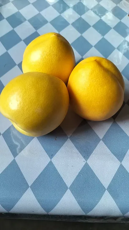 正宗黄桃应季水果现摘现发甜蜜爆汁适合老人小孩孕妇