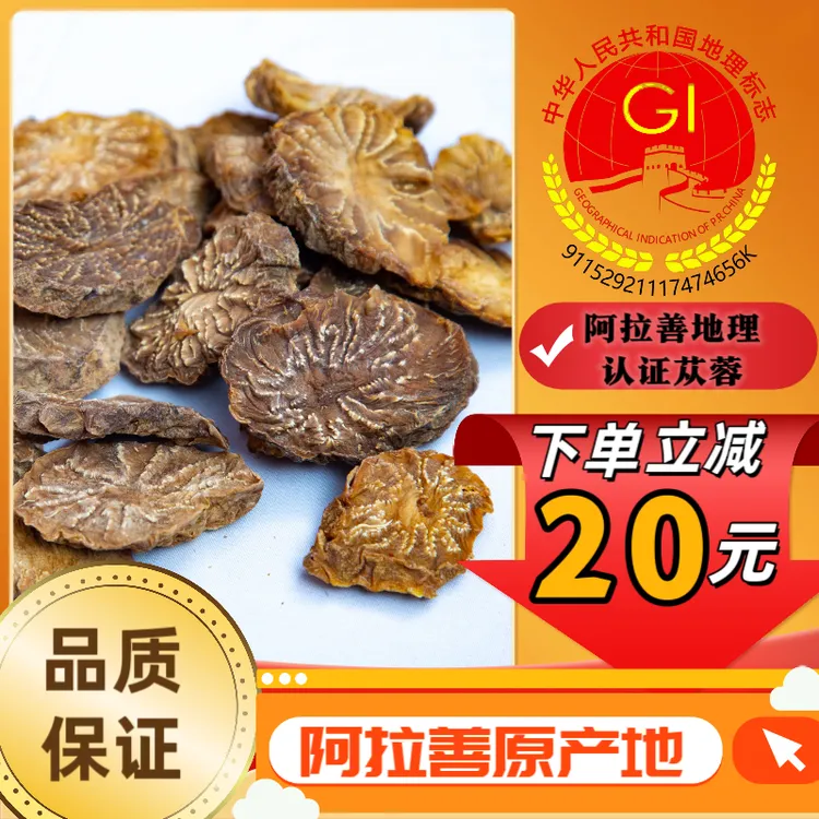 内蒙古阿拉善肉苁蓉切片菊花纹路清晰高油性可泡茶煲汤泡酒