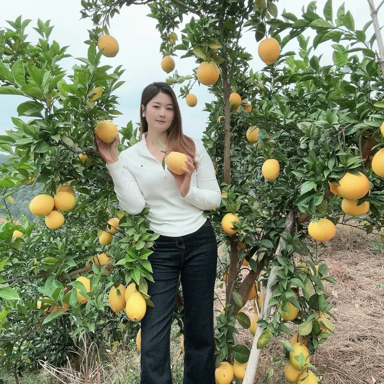 江西赣南信丰正宗脐橙新鲜现摘甜橙子产地直发