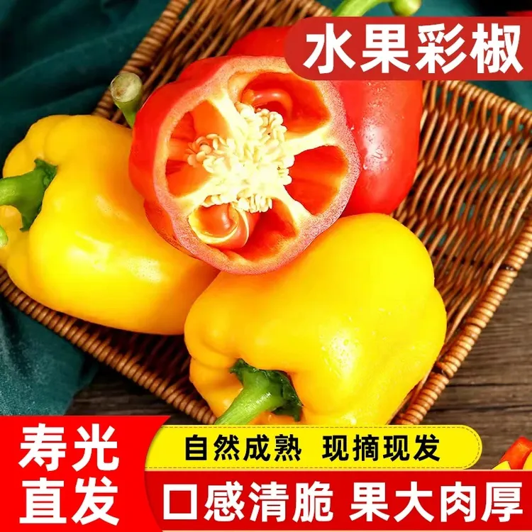 水果彩椒新鲜生吃甜椒大果黄色圆椒红辣椒维C灯笼椒现摘凝酪酸奶