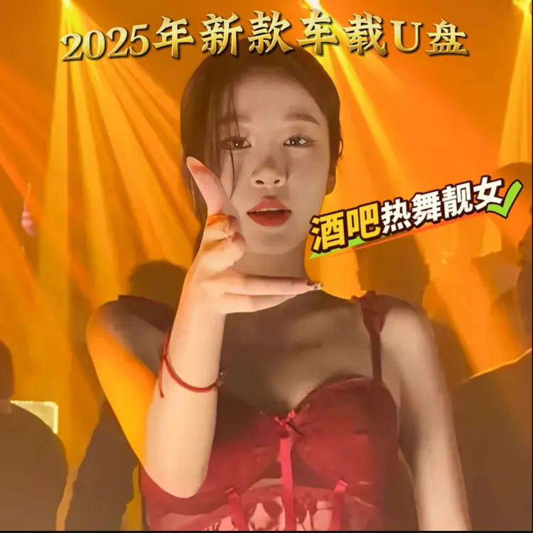 2025新款车载音乐U盘mp3无损高音质DJ慢摇舞曲MV高清mp4