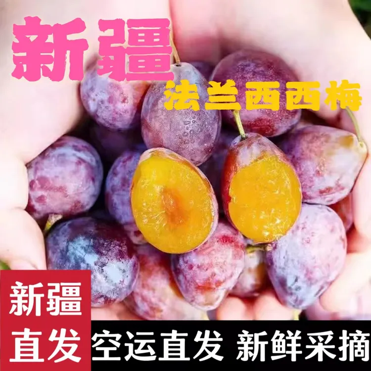 新疆西梅正宗法兰西西梅皮薄香甜浓郁多汁新鲜采摘空运新疆直发！！