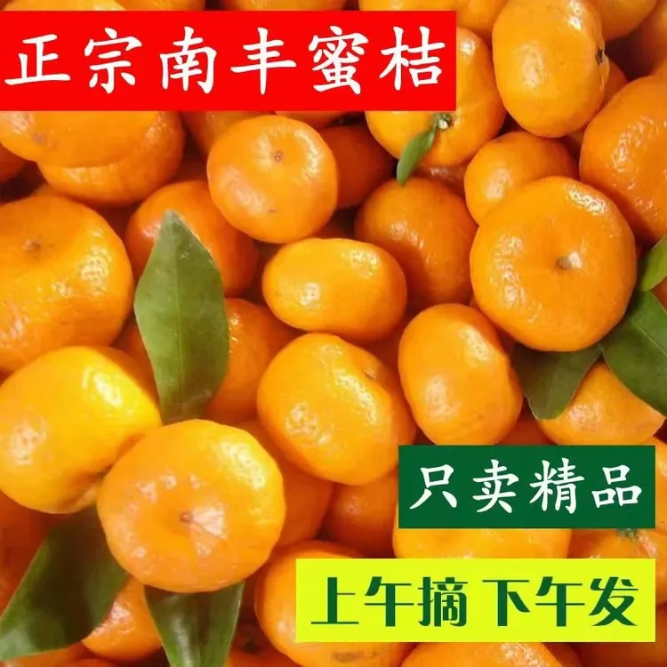 新鲜采摘江西南丰蜜橘产地直发小橘子皮薄整箱包邮