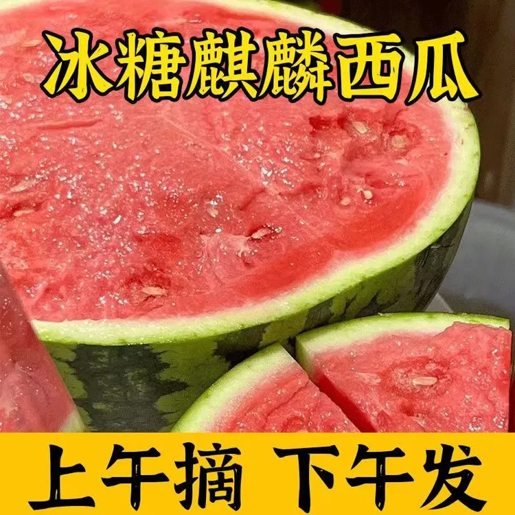 【自然生长】冰糖麒麟西瓜果形3000g-4000g/个美都云南省