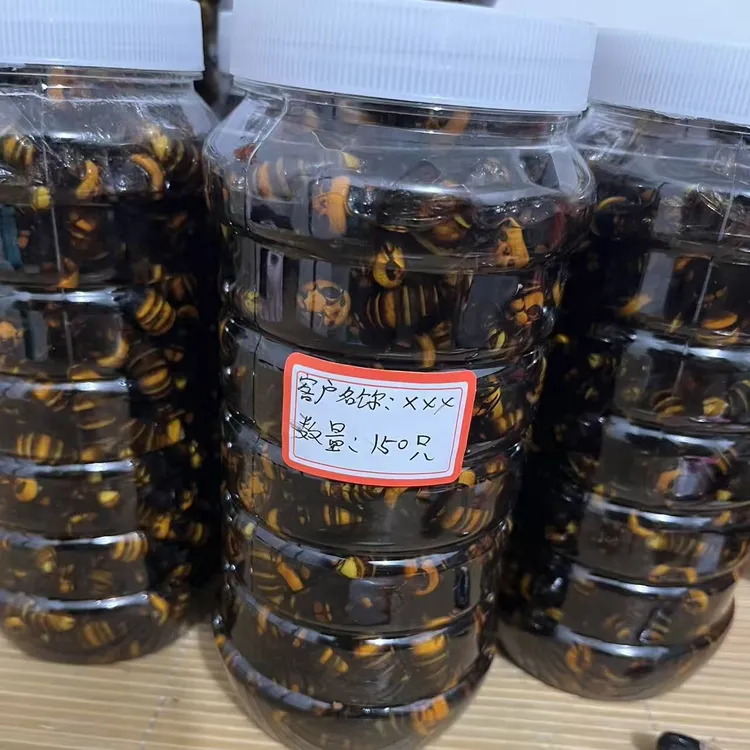 野生虎头蜂金环鲜活马蜂泡酒药材新鲜现抓现泡酒直播 130 只送 20
