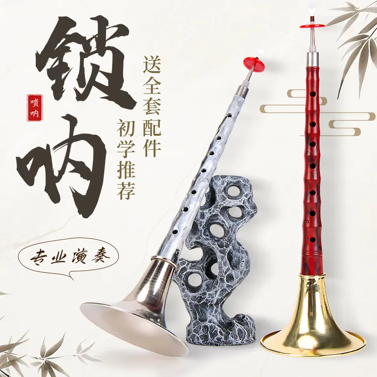 唢呐乐器初学者d调唢呐专业演奏唢呐乐器全套民间红白喜事道具