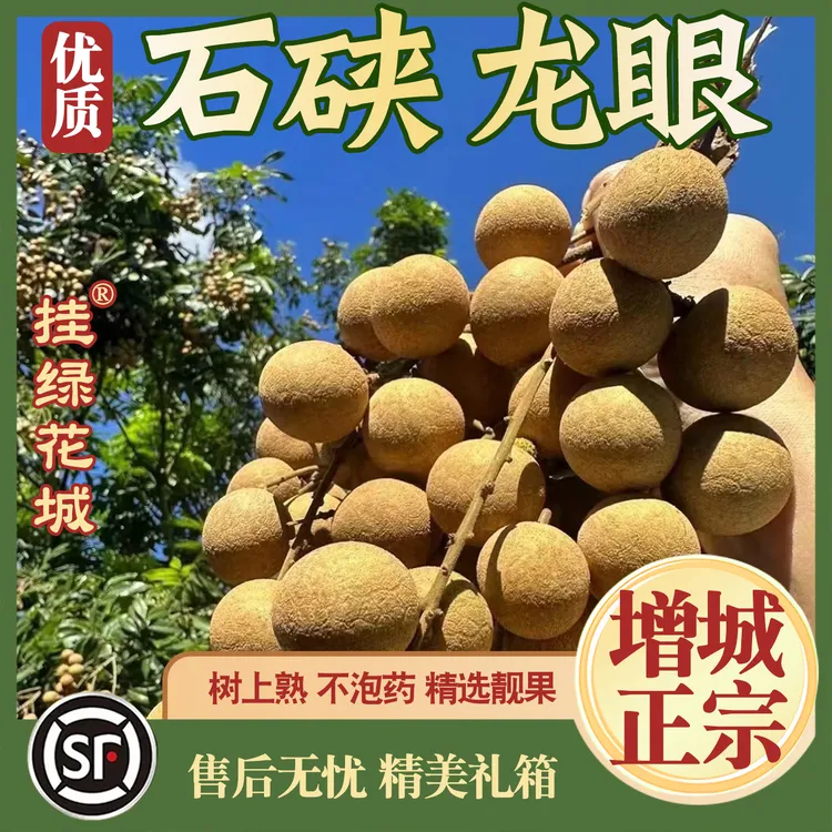挂绿花城正宗增城龙眼石峡顺丰空运优质桂圆广东水果爆甜脆