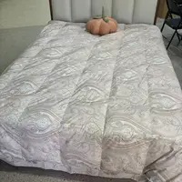 B220 澳洲银鹅绒羽绒被