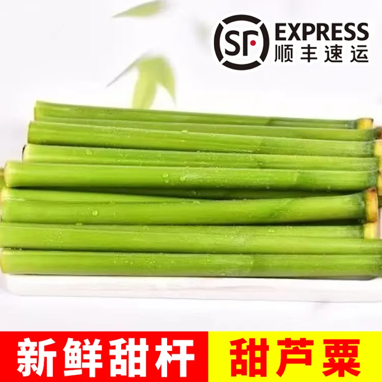 顺丰快递 新鲜甜杆 甜芦粟甜高粱 甜棒童年清香可口儿时味道5斤