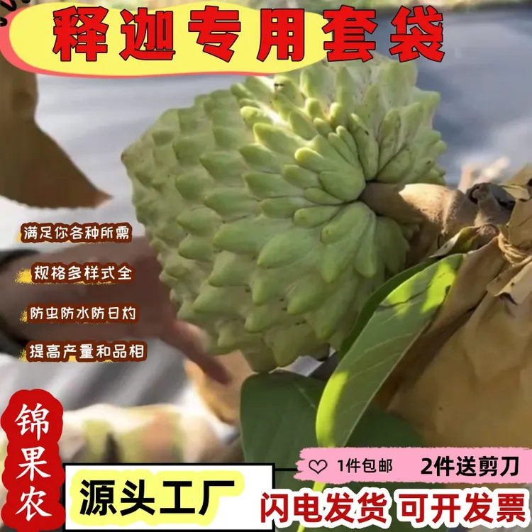 释迦套袋专用袋可视袋遮光袋防水防虫保护纸袋释迦袋子耐雨淋包邮