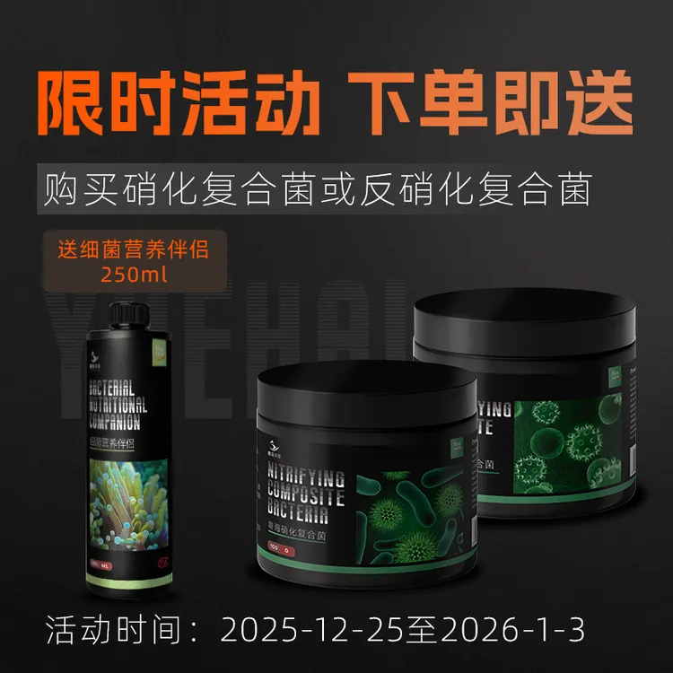 粤海硝化细菌净水氨氮转化乳酸菌枯草芽孢杆菌活性复合反硝化细菌