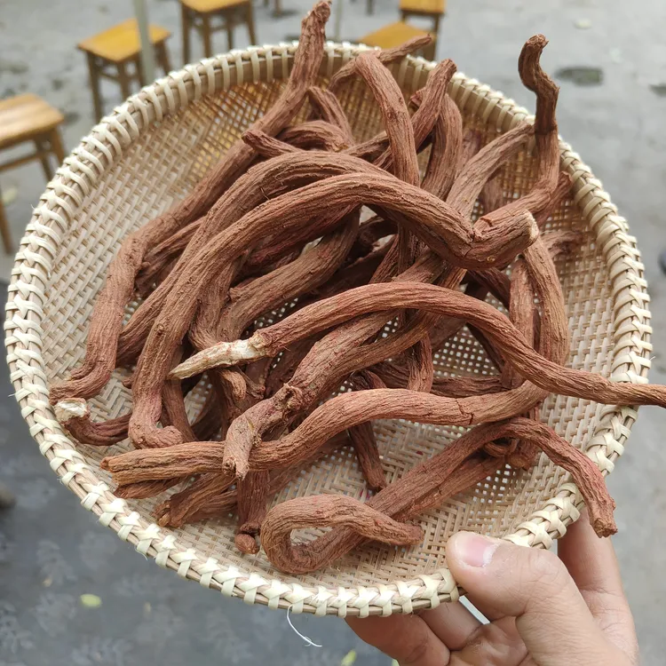 【现收】高山丹参 农家特产 煲汤滋补品 250g