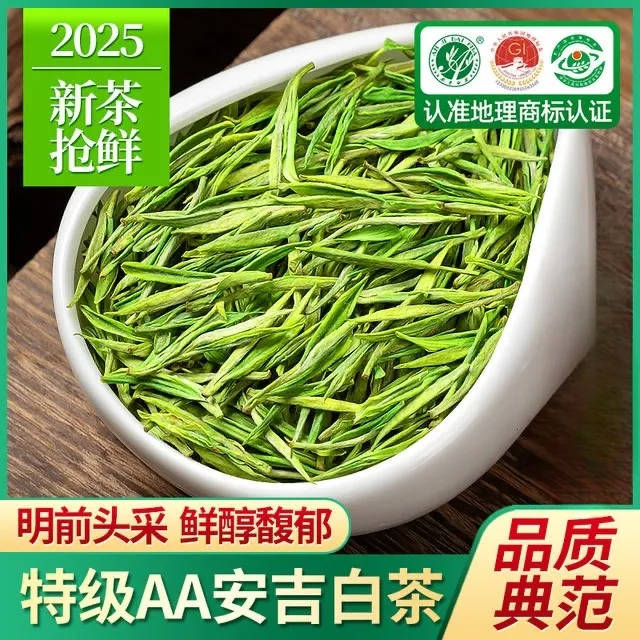 安吉白茶2025年黄埔江源新茶春茶明前安吉白茶礼盒装送礼珍惜白茶