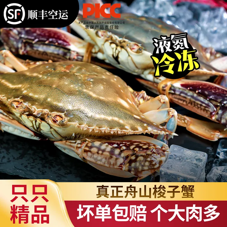 舟山梭子蟹8两左右5只鲜冻海蟹3斤大飞蟹当季捕捞不可清蒸【冻蟹】